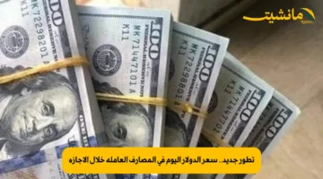 تطور جديد.. سعر الدولار اليوم في المصارف العاملة خلال الإجازة